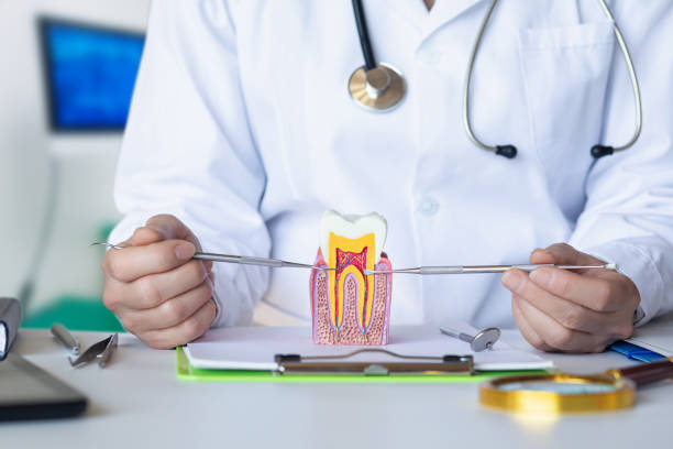 Best Weekend Emergency Dentist in Grandview, IL